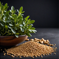 Fenugreek for hair care