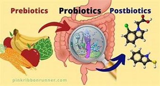 Prebiotics