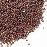 Mustard sees