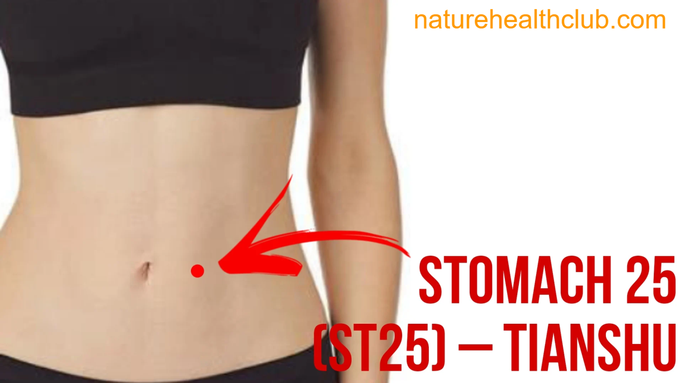 Stomach 25 acupressure point