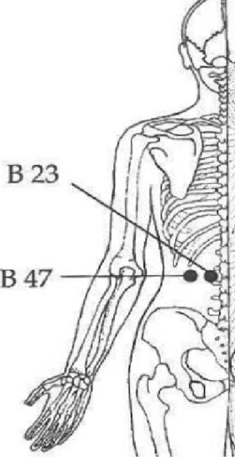 K23 point