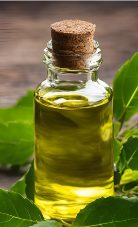 Bhringraj oil