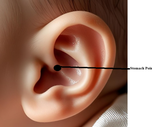 Auricular Stomach point
