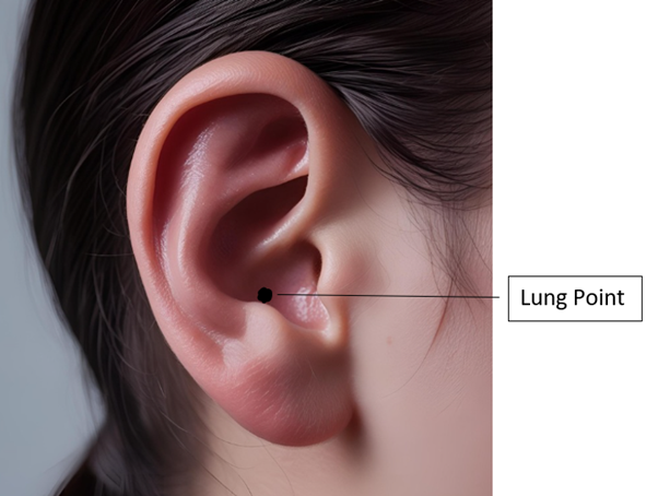 Lung Point