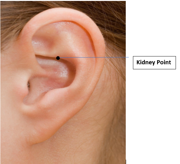 Kidney Point